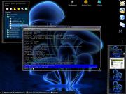 Enlightenment Enlightenment com KDE